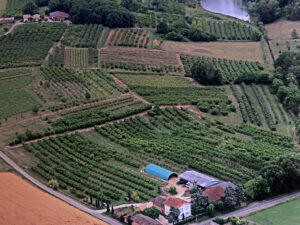 PROPRIETE AGRICOLE D’ENVIRON 17 HECTARES MONTAUBAN  NORD